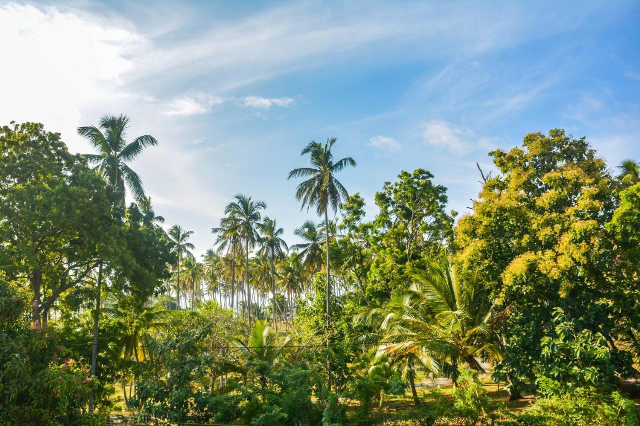 Janu Homestay タンガラ エクステリア 写真